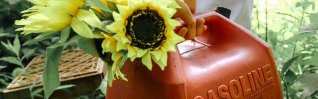 Keskkriminaalpolitsei ja Keskkonnaamet uurivad Olerexi võimalikku valeandmete esitamist