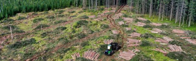 Keskkonnaameti metsateatiste automaatsüsteem ei suuda tuvastada olulisi asjaolusid, riigikohus tunnistas load õigusvastaseks