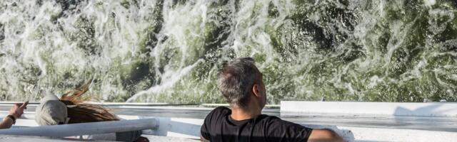 Merehaigus vaevab? Abinõusid leidub soolaküpsistest randmerihmadeni