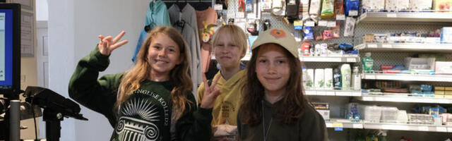 REPORTAAŽ | Pood, kus ostetakse ohtralt jäätist