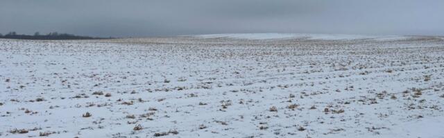 Paul-Techi põllujaam: veebruaris kaitses põllukultuure külma eest õhuke lumekiht