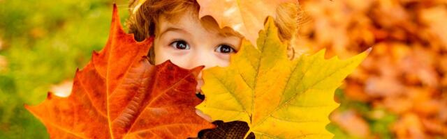 NÄDALA ILMAPROGNOOS | Kas november toob endaga pori ja vihma või saame veel nautida sooja sügisilma?