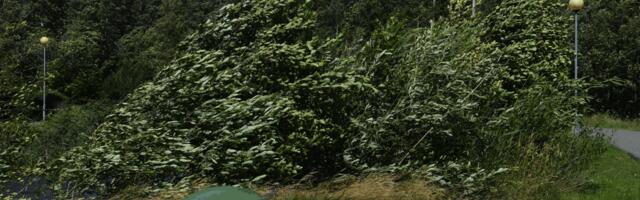 ILMA HOIATUSED EESTIS