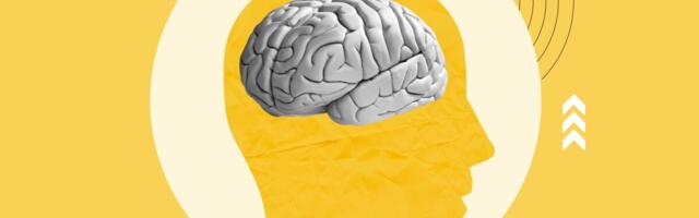 Aju plastilisust mõjutavad nii krooniline valu, stress, pikaajaline D-vitamiini puudus kui ka psühhostimulandid