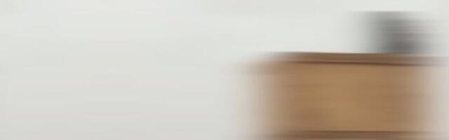 Vaheoja ja Musting meenutavad Winny Puhhi muusikavideoid: mõtlesime, et mis see 200 lammast ära lavastada on