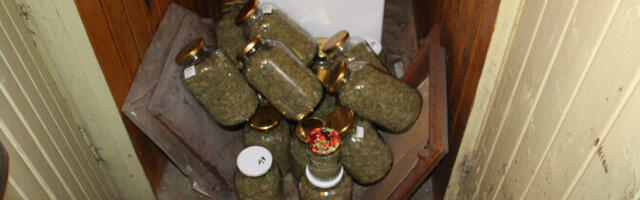 В Ляэне-Вирумаа задержали мужчину по подозрению в выращивании конопли и обороте марихуаны