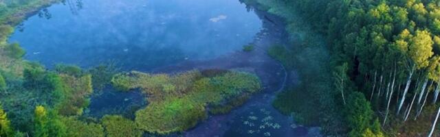 Järgmisel kuuel aastal on KIKil kolm peamist fookust