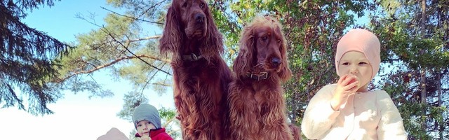 Mart Kase: lugemise mõõde