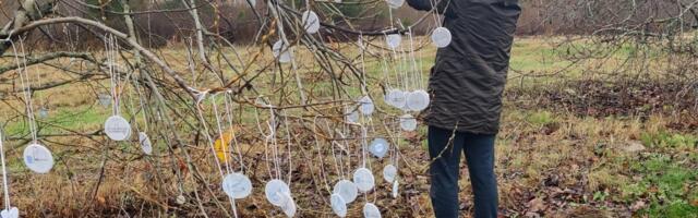 Rapla psüühilise erivajadusega inimesed riputasid oma helkurpuule 178 helkurit