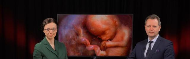 INTERVJUU ⟩ Maria Madise: SAPTK tähistab lastekaitsepäeva välinäitusega lapse sünnieelsest arengust