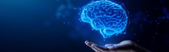 Kui pikast ajast piisab ajule nutipuhkuseks?