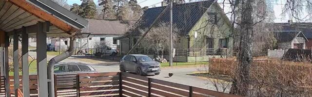 Politsei: Haapsalus alla aetud koera juhtum oli õnnetus