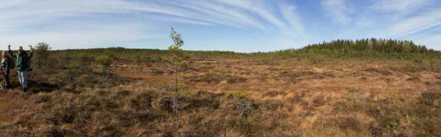 MINA ELASIN SIIN ⟩ Seitse aastat Kolgu rabas ja raamaturiiul täis lugemust