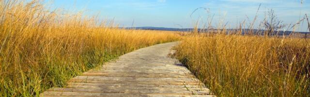 Eskiisprojekt on valmis_ peagi saab jala või rattaga Kakumäelt mööda merepiiri Tabasallu liikuda