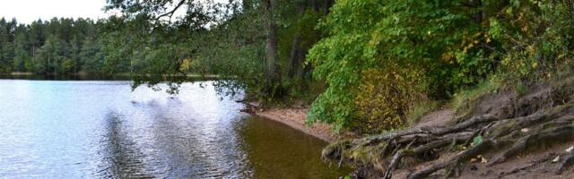 Keskkonnaamet ei lubanud Uljaste järve äärde vaatetorni ehitada