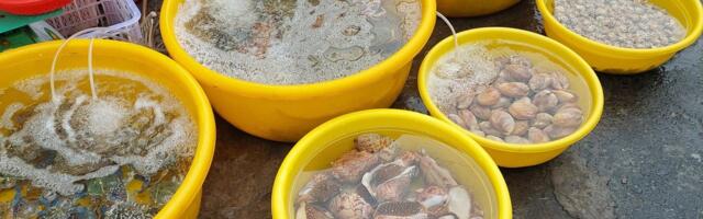 TURUKOMMENTAAR | Vietnami turul on nii ehe, kui veel olla saab!