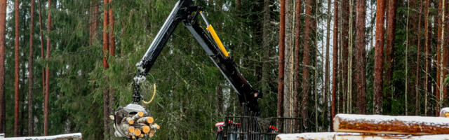 RMK koondab ligi 80 töötajat. “Raietöölised saavad võimaluse jätkata senist tööd ettevõtluse vormis”