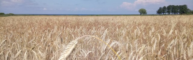 Meie targad kehad paluvad märkamist ja ärkamist