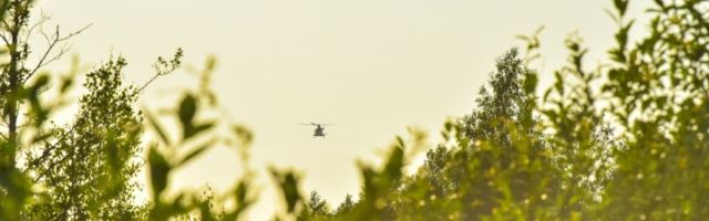 Otsingud kandsid vilja! Hooldekodust lahkunud ja kolm päeva kadunud olnud naine leiti elusalt ja tervelt heina seest