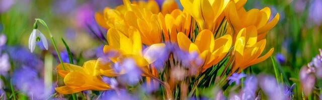 Sünoptik: õhutemperatuurid küündivad üle 15 soojakraadi