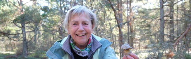 GALERII | Sügislaada seenekorvid täitusid mitmes Hiiumaa paigas