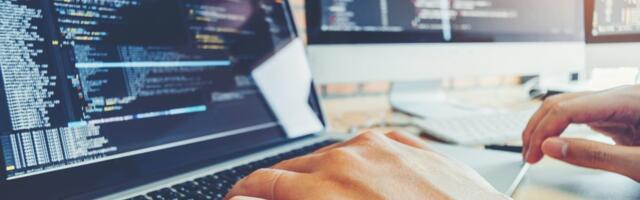 Liis Kängsepp: kolme kuuga IT-arendajana haljale oksale? Kahjuks puhas utoopia