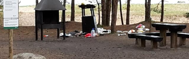 RMK Meremõisa telkimisalal toimub mitmendat aastat süsteemne vandaalitsemine