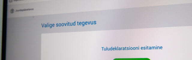 Lugeja küsib: mida peaksin juba praegu tegema, et järgmisel aastal ei peaks riigile midagi juurde maksma?