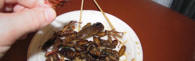 Globalistid tahavad, et kõik sööksid putukaid, mille välisskelett sisaldab kitiini, mida parasiidid ja haigustekitajad kasutavad kaitsena inimeste nakatumisel