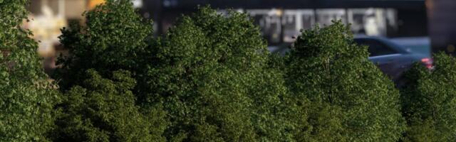 Kesklinna kaasava eelarve hääletuse võitis idee võidelda linnamüra vastu põõsastega