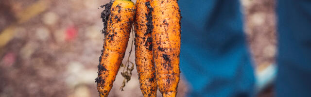 Indrek Neivelt: kliimaministeeriumi kliimaseaduse ideed on hullumeelsed