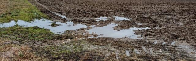 Eesti mullad on ühed tallamisõrnemad Euroopas