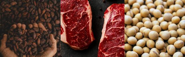 Euroopa Komisjon tegi ettepaneku raadamisvabade toodete määruse lihtsustamiseks