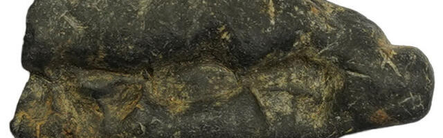 Kiviajal näritud kasetökat annab näo muistsetele Pulli elanikele