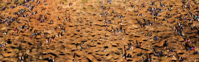 Teemandibuum Lõuna-Aafrikas. Rikastumist lootnud aardekütte tabas valus pettumus