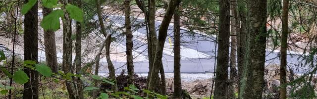 VANA HÕBE! Andres Jaanus: rohepesu Viimsi moodi