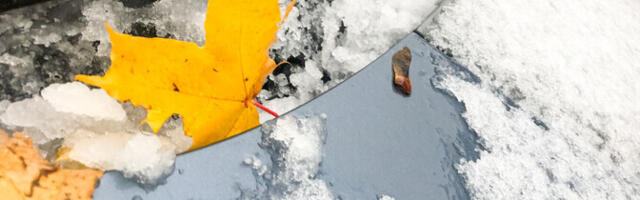 В выходные в Эстонии пройдет мокрый снег