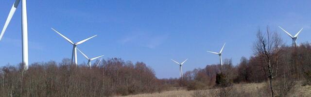 Iga tuuliku ümber on vaja raadata paar hektarit metsa