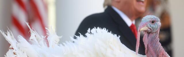 Sel nädalal oluline: viis asja, mida oodata