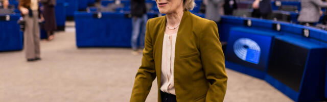 Reaalsuses ei ole Euroopa Liit “meie ise”, vaid on “nemad seal”