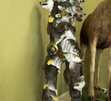 Kas hunt on ikka hunt?