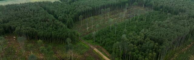 Martti Helde film "Vara küps" saab uue kuue neljaosalise doksarjana