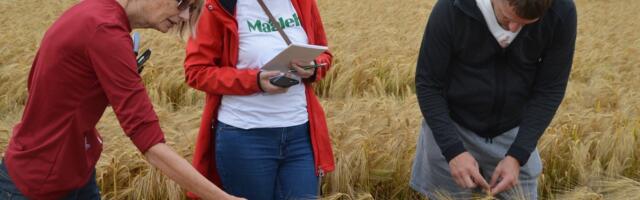 Marju Reitsak: Eestis kasvab põlvkond põllumehi, kes ei pelga katsetada