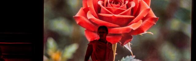 FOTOLUGU: Eesti Aufgussi Meistrivõistlused! Nora Katreen Harik “Seitsmes …”