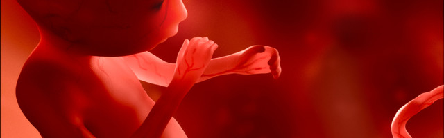 Juhtkiri: lastekaitsepäeval abordiprobleemi mahavaikimine on talumatult silmakirjalik