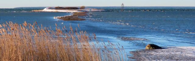 GALERII: Pandju 12. jaanuaril 2025