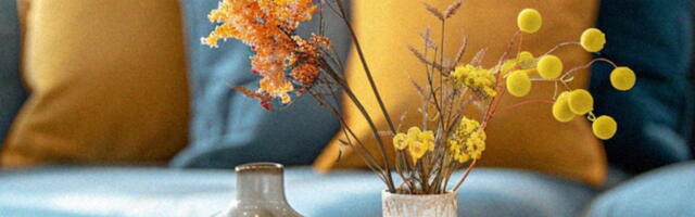 Kako da osvežiš dom za proleće uz minimalan trošak