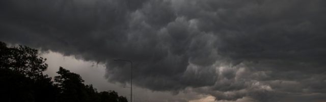 Kui pikk on maailma kõige pikem välgunool?