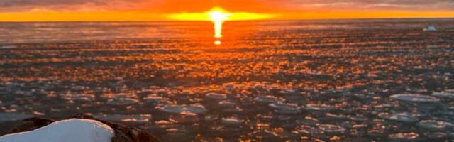 JUHTKIRI | Ärgem laskem vabadust muutuda tavaliseks