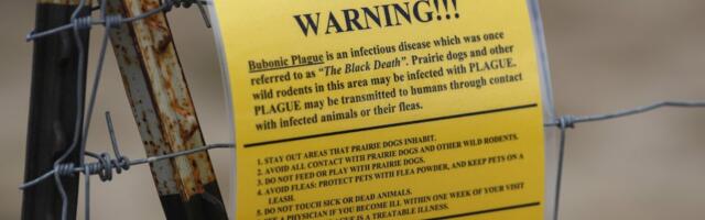 USAs suri inimene katku